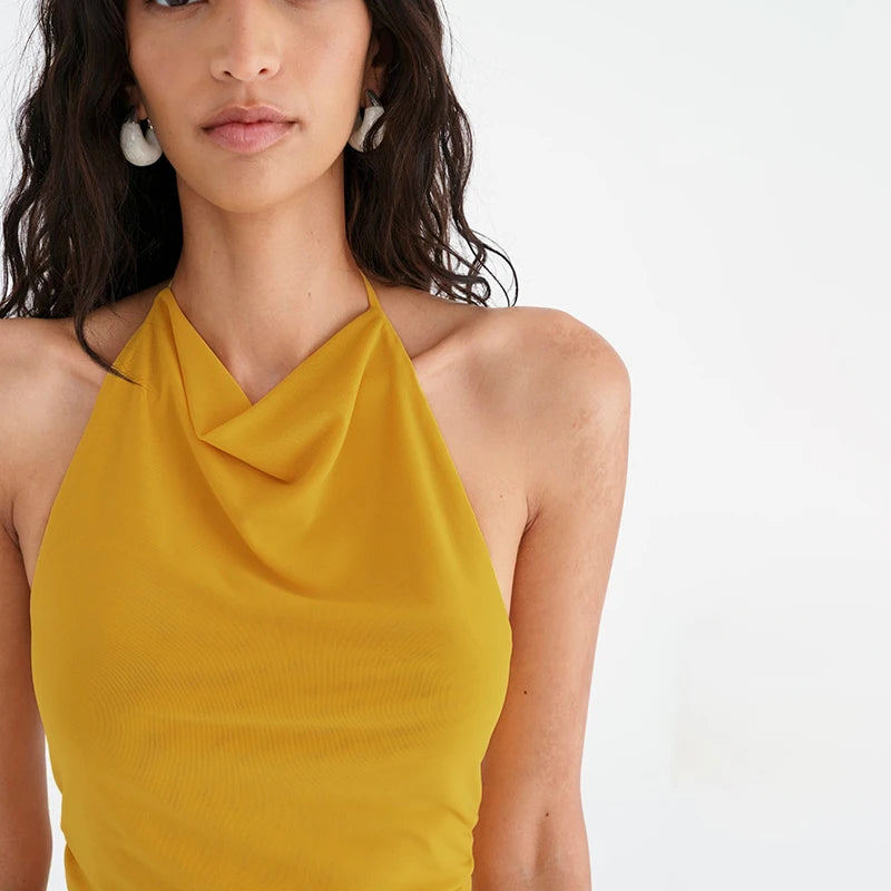 Backless Pleated Mesh Hanging Neck Sexy Top